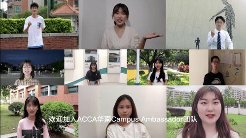 国产福利一线在线观看,独家在线观看，尽享视听盛宴