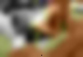 国产欧美在线系列视频,跨越国界，共赏视听盛宴