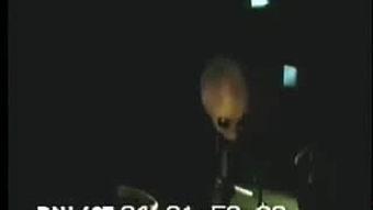 51视频国产区在线观看,51视频国产区在线观影盛宴