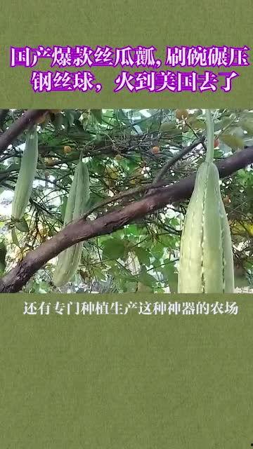 丝瓜在线观看国产精品,国产精品，一网打尽，尽享视听盛宴